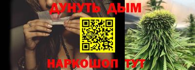 прущие грибы Волгодонск