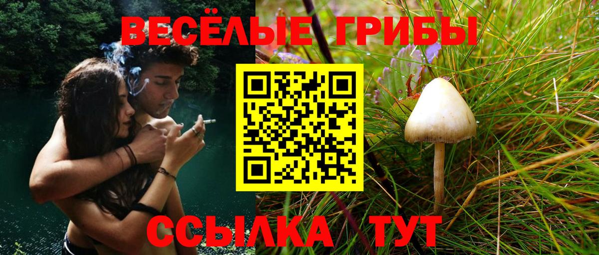 Пермь  купить наркотик  Вход с VPN  Псилоцибиновые грибы Magic Shrooms 